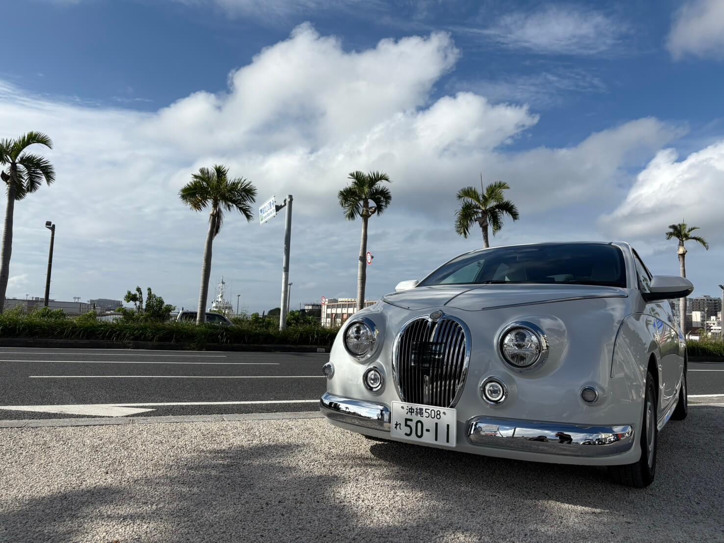 光岡 ビューストーリー