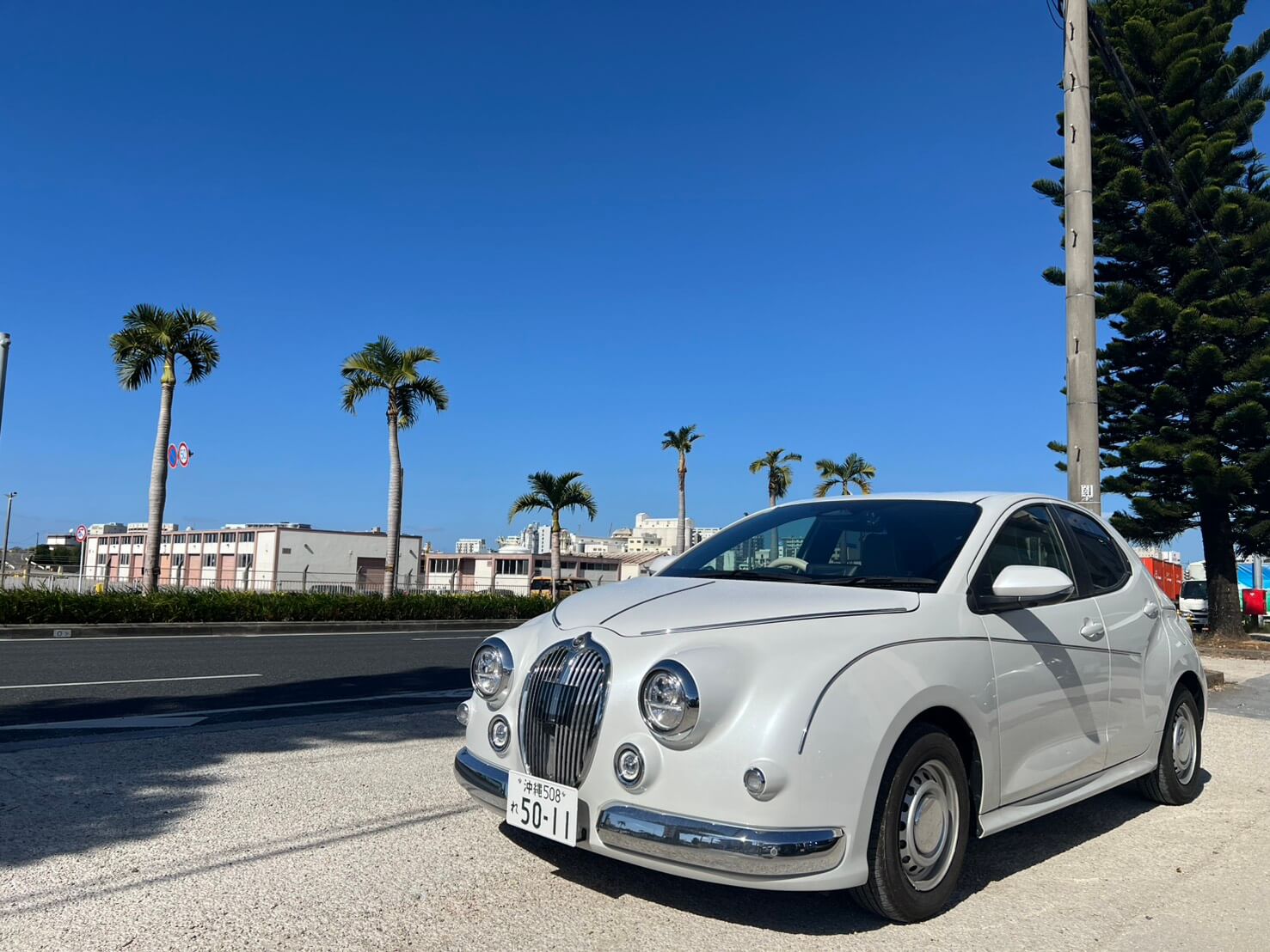 光岡 ビューストーリー