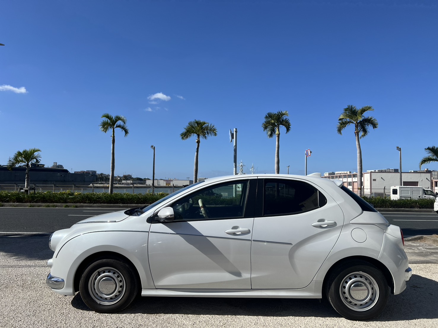 光岡 ビューストーリー